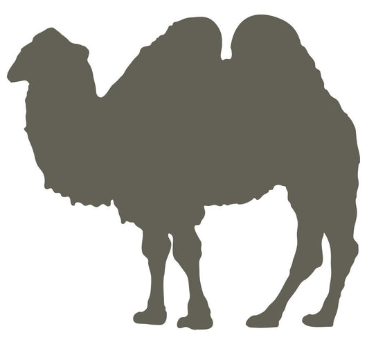 Large Brown Camel Standing Wall Decal