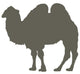 Large Brown Camel Standing Wall Decal