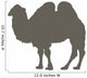 Large Brown Camel Standing Wall Decal