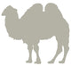 Light Brown Standing Camel Wall Decal