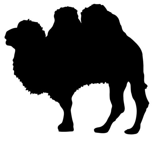 Large Black Camel Wall Decal