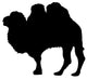 Large Black Camel Wall Decal