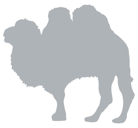 Large Grey Camel Silhouette Wall Decal