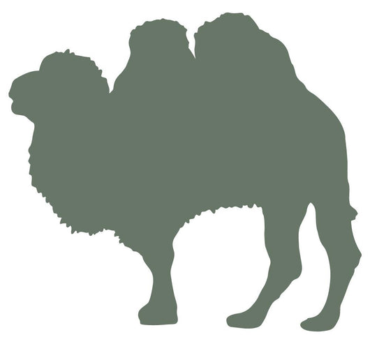Large Olive Green Camel Wall Decal