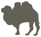 Large Brown Camel Wall Decal