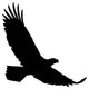 Black Realistic Eagle Silhouette Wall Decal