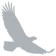Grey Eagle Silhouette Wall Decal