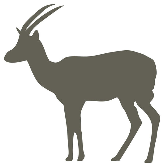 Brown Thompson's Gazelle Wall Decal