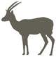 Brown Thompson's Gazelle Wall Decal