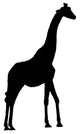 Tall Black Giraffe Wall Decal