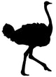 Realistic Black Ostrich Silhouette Wall Decal