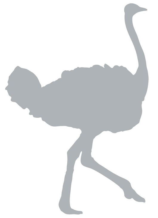 Grey Ostrich Wall Decal
