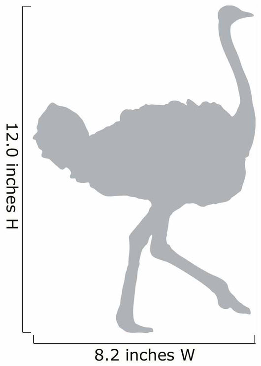 Grey Ostrich Wall Decal