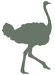Green Ostrich Wall Decal
