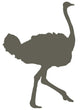 Brown Ostrich Wall Decal