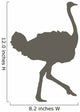 Brown Ostrich Wall Decal