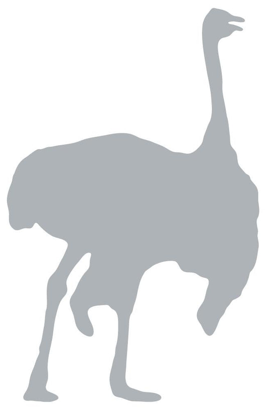 Grey Male Ostrich Wall Decal