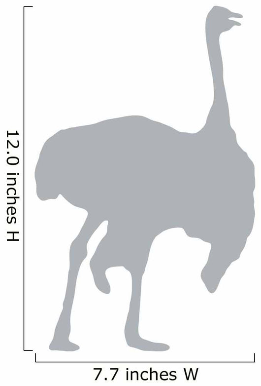 Grey Male Ostrich Wall Decal