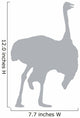 Grey Male Ostrich Wall Decal