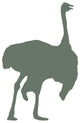Green Male Ostrich Wall Decal