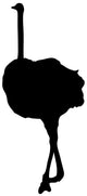 Tall Black Female Ostrich Wall Decal