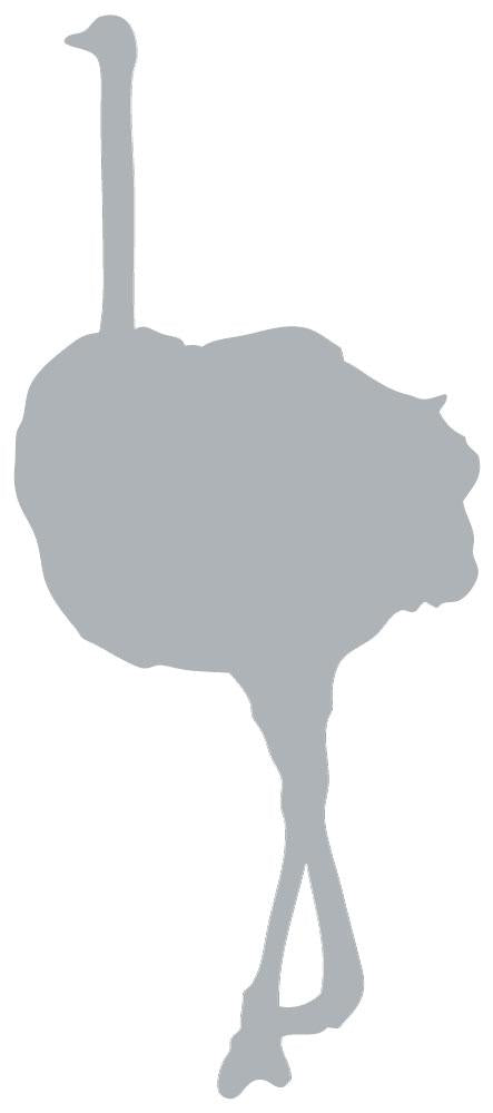 Tall Grey Female Ostrich Wall Decal