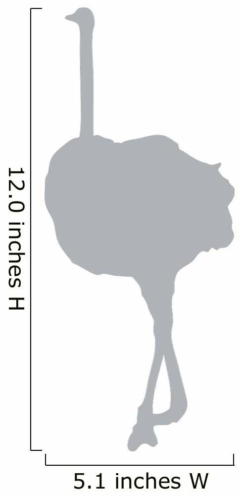 Tall Grey Female Ostrich Wall Decal