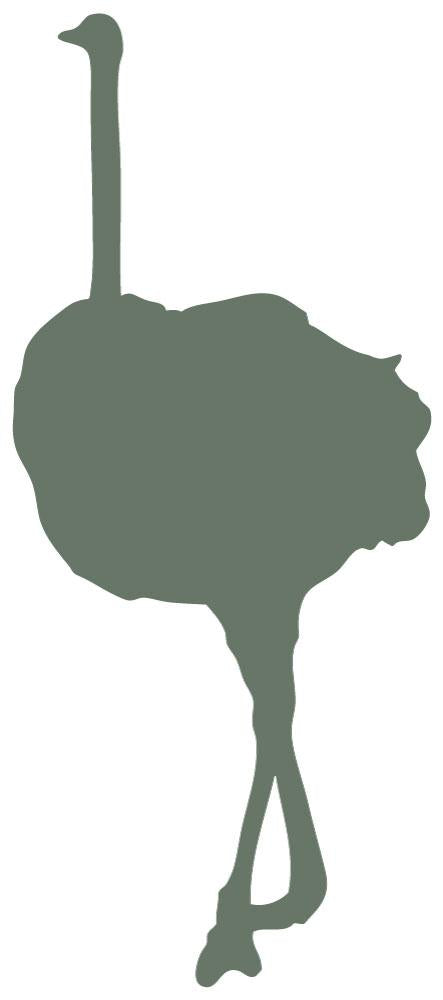 Tall Green Female Ostrich Wall Decal