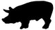Realistic Black Pig Silhouette Wall Decal