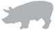 Grey Pig Wall Decal