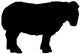 Black Sheep Wall Decal