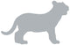 Grey Baby Tiger Wall Decal
