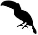 Black Toucan Wall Decal