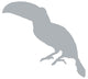 Grey Toucan Wall Decal