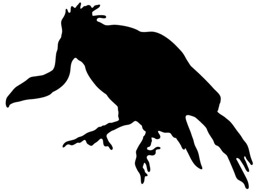 Black Vulture Wall Decal