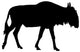 Black Wildebeest Wall Decal