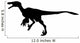 Velociraptor Deinonychus Silhouette Dinosaur Wall Decal