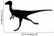 Dino Decals - Black Theropod Silhouette Wall Decal