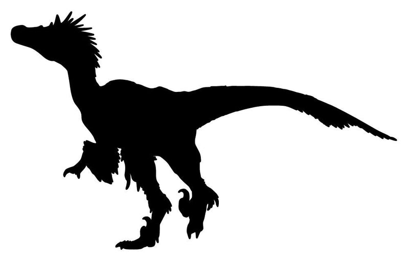 077_anisil_Dinosaurs-LRG_800x.