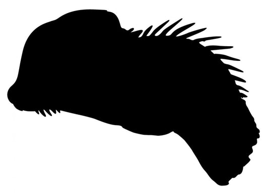 Oviraptor Profile Dinosaur Wall Decal