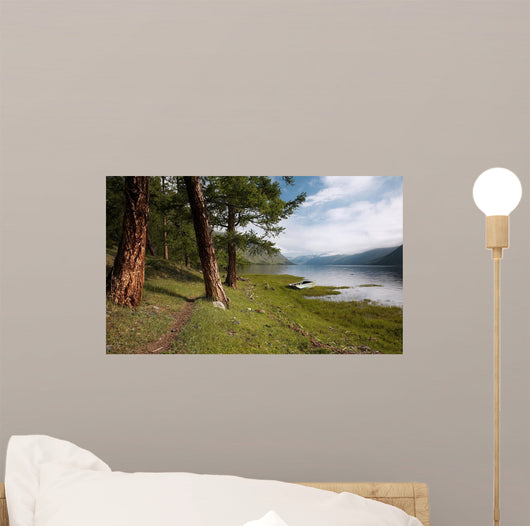 Path near Lake Wall Decal