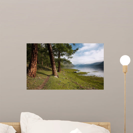 Path near Lake Wall Decal