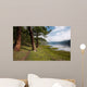 Path near Lake Wall Decal