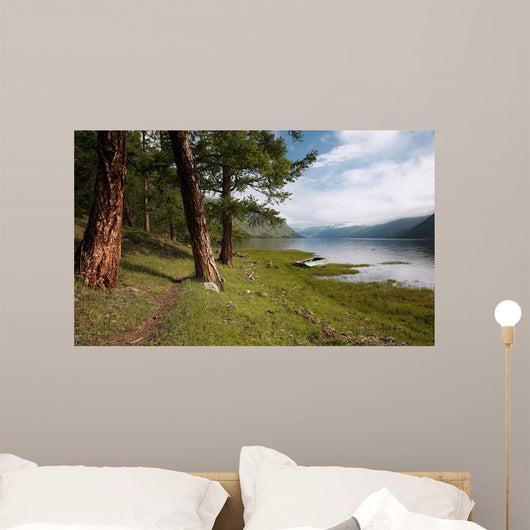 Path near Lake Wall Decal