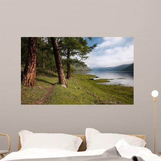Path near Lake Wall Decal