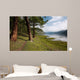 Path near Lake Wall Decal