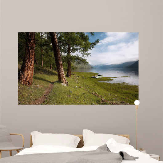 Path near Lake Wall Decal