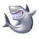 Shark Wall Decal