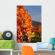 Weinstockreihen Wall Decal