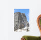 Rocky Mountains National Park Wall Decal